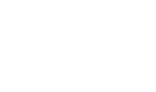 Bonnie Prince Charlie