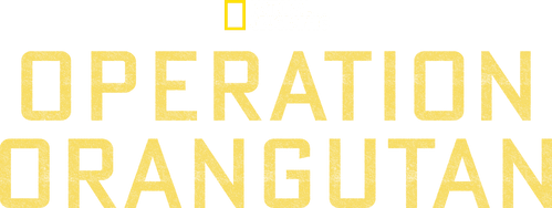 Operation Orangutan