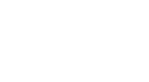 Elvis Presley: The Searcher