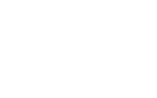 Case Closed: Zero the Enforcer