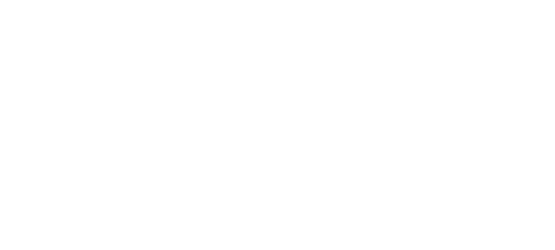 Animals at Play