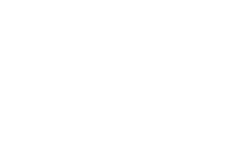 A Trip to the Moon