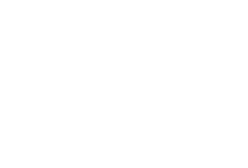 An Ice Palace Romance