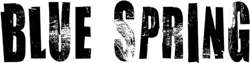 Blue Spring