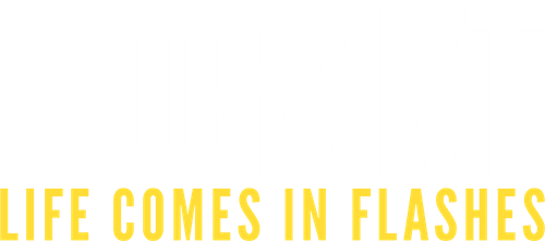 Bogart: Life Comes in Flashes