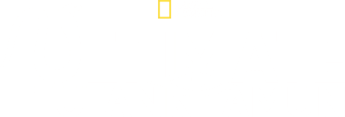 Ultimate Tutankhamun