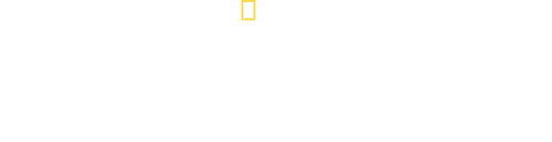 Sharks Up Close with Bertie Gregory