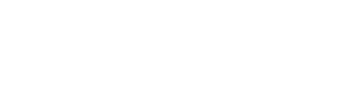 Sea Lions of the Galapagos