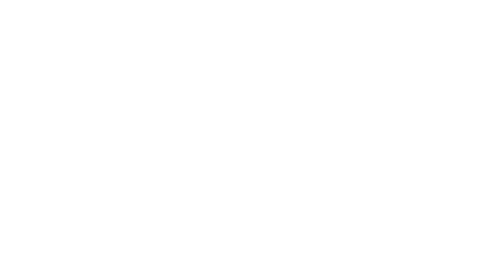 In Youth We Trust