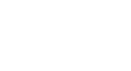 Max Havelaar: or, The Coffee Auctions of the Dutch Trading Company