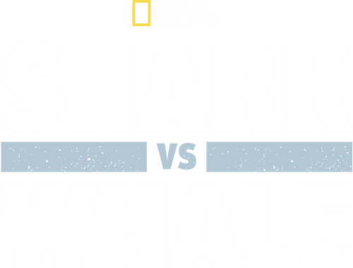 Shark Vs. Whale