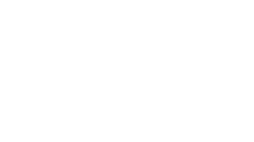 The Wedding Veil Legacy