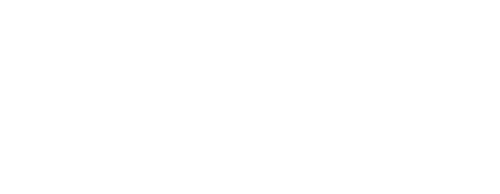 The Black Belt - The True History of Fernando Tererê