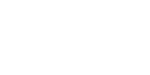 Detective Chen