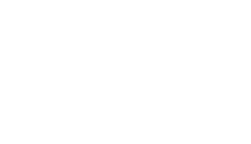 The Rebel