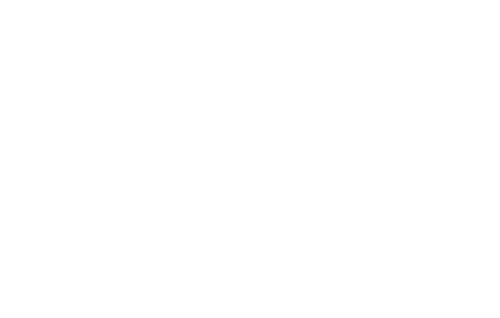 Mafia Spies