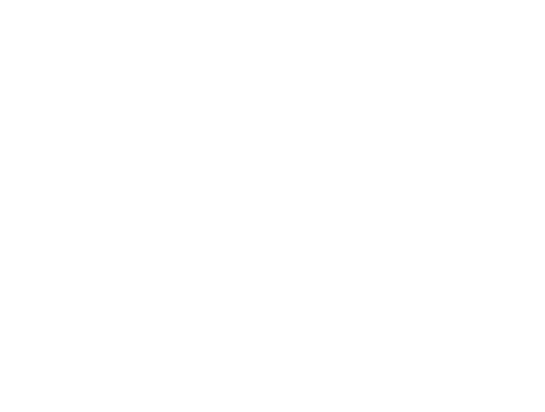 The Judge