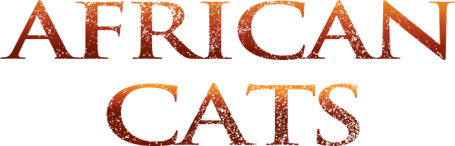 African Cats