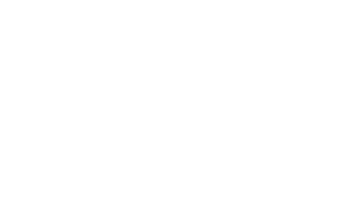Red Salute