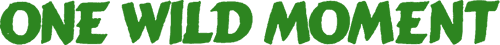 One Wild Moment
