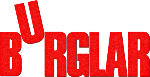 Burglar