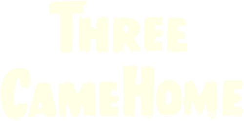 Three Came Home