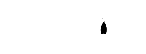 Penguins: Life on the Edge