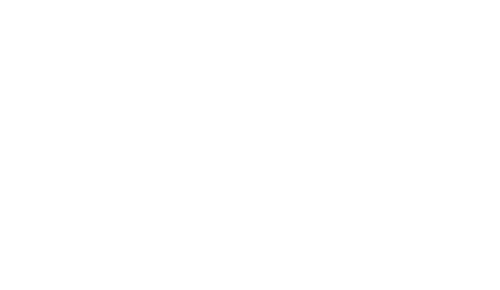 The Crocodile Hunter Diaries