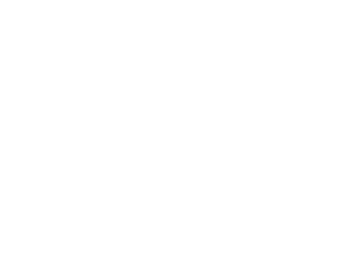 Billy & Molly: An Otter Love Story