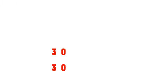 Four Falls of Buffalo