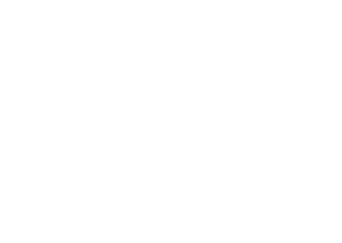 The Dawn Wall