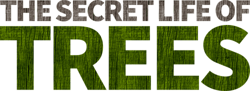 The Secret Life of Trees