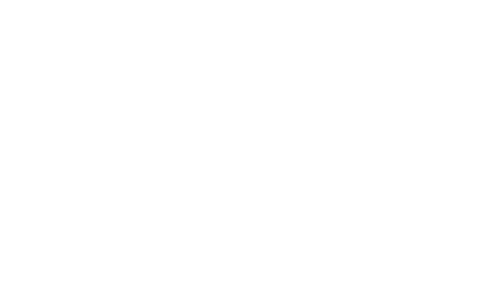 Adam Ray: Like and Subscribe