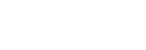 The Autobiography of Nicolae Ceausescu