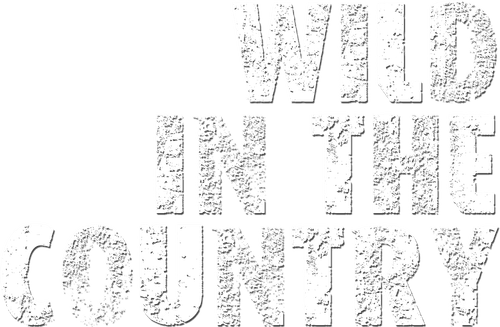 Wild in the Country