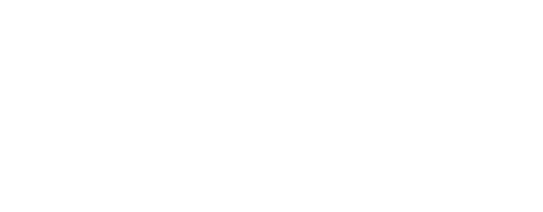 A Prime Minister's Disguise