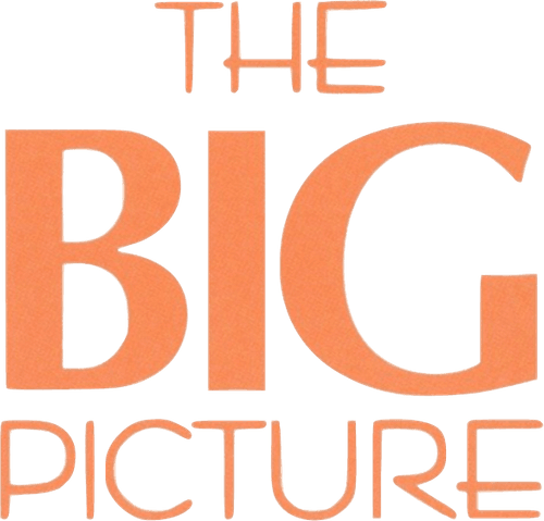 The Big Picture