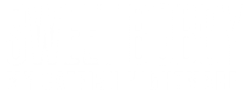 Sweet Bobby: My Catfish Nightmare