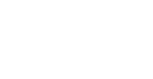 The Wedding Veil Journey