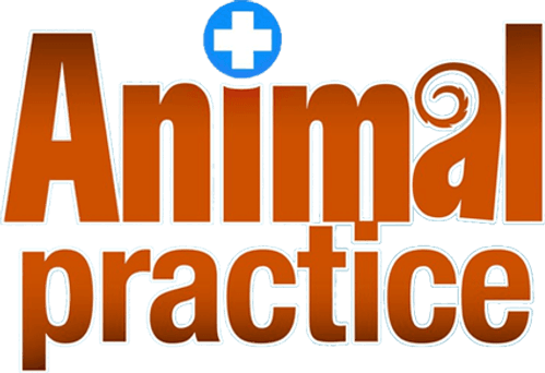 Animal Practice
