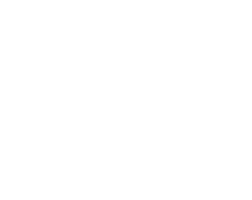 Nick Cannon Presents: Wild 'N Out
