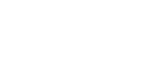 The Wedding Veil Inspiration