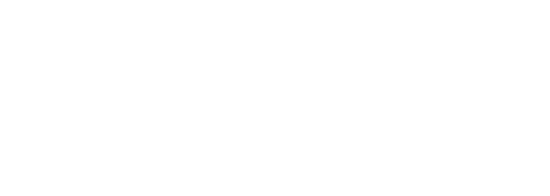 The Lifeguards