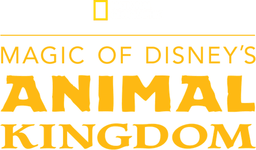 Magic of Disney's Animal Kingdom