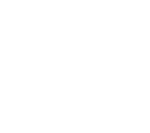 Little Fish