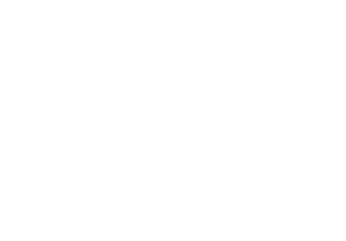 Lies of the Heart: The Story of Laurie Kellogg