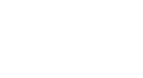The Great Christmas Light Fight