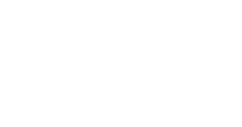 The Doctor Takes a Wife