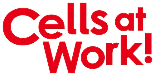 Cells at Work!