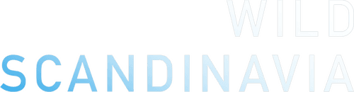 Wild Scandinavia